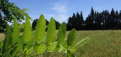Terrain à Mallemort en Bouches-du-Rhône (13) de 330 m² à vendre au prix de 165000€ - 2