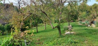 Terrain et maison à La Grande-Paroisse en Seine-et-Marne (77) de 90 m² à vendre au prix de 248600€ - 3
