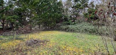 Terrain et maison à Labastide-Beauvoir en Haute-Garonne (31) de 94 m² à vendre au prix de 279352€ - 4