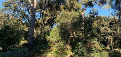 Terrain et maison à Martigues en Bouches-du-Rhône (13) de 100 m² à vendre au prix de 564890€ - 4