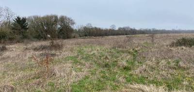 Terrain à Pont-l'Abbé-d'Arnoult en Charente-Maritime (17) de 404 m² à vendre au prix de 54420€ - 1