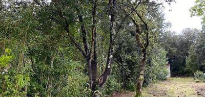 Terrain à Saint-Georges-d'Oléron en Charente-Maritime (17) de 817 m² à vendre au prix de 196800€ - 1