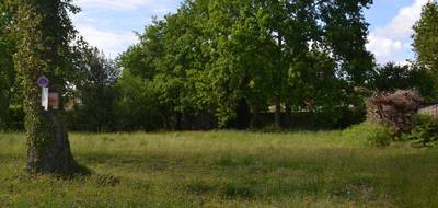 Terrain à Audenge en Gironde (33) de 675 m² à vendre au prix de 240000€ - 2