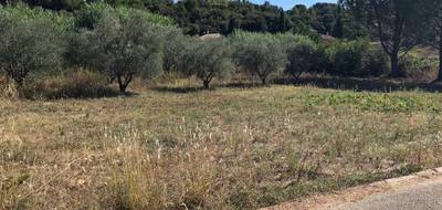 Terrain et maison à Montarnaud en Hérault (34) de 100 m² à vendre au prix de 443300€ - 3