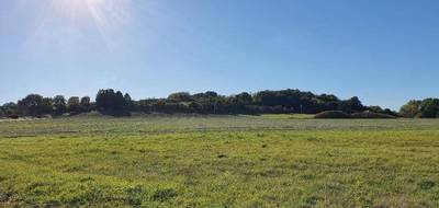 Terrain et maison à Ardentes en Indre (36) de 105 m² à vendre au prix de 239850€ - 3