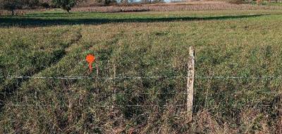 Terrain à Peujard en Gironde (33) de 770 m² à vendre au prix de 86800€ - 1