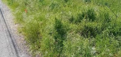 Terrain à Andernos-les-Bains en Gironde (33) de 525 m² à vendre au prix de 325900€ - 2