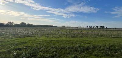 Terrain à Vitry-en-Artois en Pas-de-Calais (62) de 636 m² à vendre au prix de 79900€ - 1