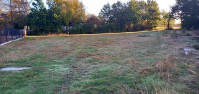 Terrain et maison à Viterbe en Tarn (81) de 67 m² à vendre au prix de 175000€ - 4