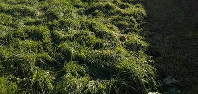 Terrain à Langoiran en Gironde (33) de 1000 m² à vendre au prix de 100000€ - 1