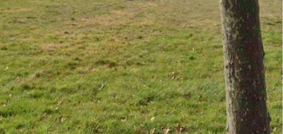 Terrain et maison à Tournefeuille en Haute-Garonne (31) de 186 m² à vendre au prix de 603258€ - 3