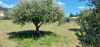Terrain à Aups en Var (83) de 3000 m² à vendre au prix de 170000€ - 4