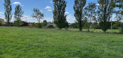 Terrain et maison à Dénat en Tarn (81) de 67 m² à vendre au prix de 183000€ - 4