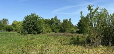Terrain et maison à Lestrem en Pas-de-Calais (62) de 165 m² à vendre au prix de 460000€ - 3