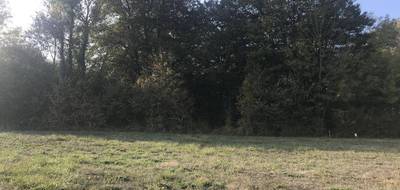 Terrain et maison à La Chapelle-Saint-Martin-en-Plaine en Loir-et-Cher (41) de 79 m² à vendre au prix de 154007€ - 4