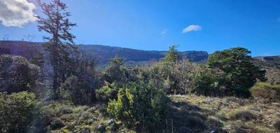 Terrain à Plan-d'Aups-Sainte-Baume en Var (83) de 1193 m² à vendre au prix de 180000€ - 2