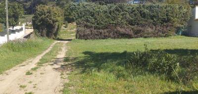 Terrain à Fontvieille en Bouches-du-Rhône (13) de 470 m² à vendre au prix de 165000€ - 4