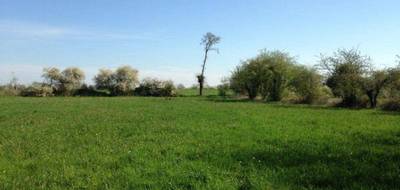 Terrain et maison à Cerelles en Indre-et-Loire (37) de 90 m² à vendre au prix de 280000€ - 3