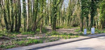 Terrain et maison à Bazancourt en Marne (51) de 120 m² à vendre au prix de 295000€ - 4