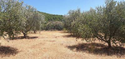 Terrain à Puget-Ville en Var (83) de 945 m² à vendre au prix de 205000€ - 2