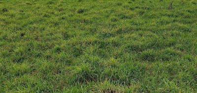 Terrain et maison à La Guérinière en Vendée (85) de 122 m² à vendre au prix de 495967€ - 4