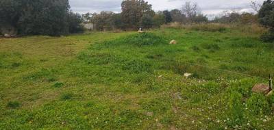 Terrain à Pézenas en Hérault (34) de 1450 m² à vendre au prix de 169500€ - 2