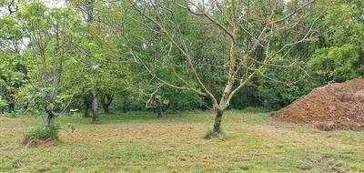 Terrain et maison à Tournefeuille en Haute-Garonne (31) de 186 m² à vendre au prix de 581000€ - 3