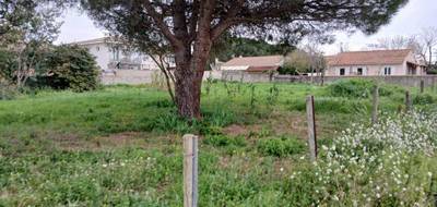 Terrain et maison à Pérols en Hérault (34) de 140 m² à vendre au prix de 763000€ - 4