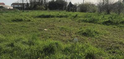 Terrain à Chambon en Charente-Maritime (17) de 800 m² à vendre au prix de 40000€ - 2
