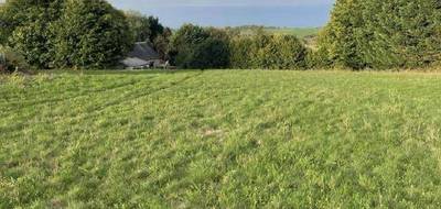 Terrain à Sadroc en Corrèze (19) de 6700 m² à vendre au prix de 33500€ - 1