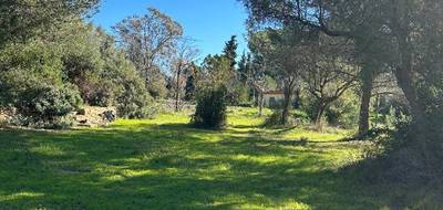 Terrain à La Cadière-d'Azur en Var (83) de 2081 m² à vendre au prix de 590000€ - 2