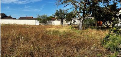 Terrain et maison à Plaisance-du-Touch en Haute-Garonne (31) de 90 m² à vendre au prix de 347771€ - 4