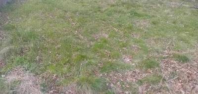Terrain à Arcachon en Gironde (33) de 260 m² à vendre au prix de 390000€ - 3