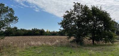 Terrain et maison à Cadalen en Tarn (81) de 95 m² à vendre au prix de 201000€ - 4