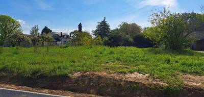 Terrain et maison à Fillé en Sarthe (72) de 160 m² à vendre au prix de 349000€ - 3
