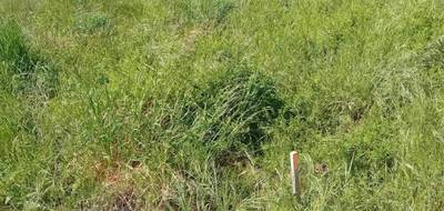 Terrain à Arcachon en Gironde (33) de 160 m² à vendre au prix de 380000€ - 3