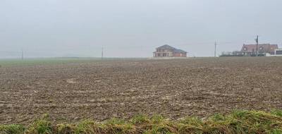 Terrain à Haute-Avesnes en Pas-de-Calais (62) de 503 m² à vendre au prix de 66396€ - 3