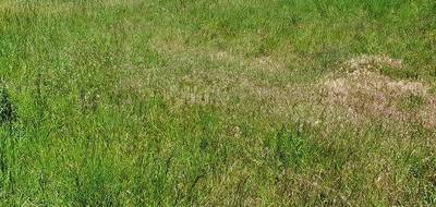 Terrain et maison à Vernet-les-Bains en Pyrénées-Orientales (66) de 115 m² à vendre au prix de 344000€ - 3