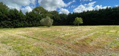 Terrain et maison à Saint-Papoul en Aude (11) de 99 m² à vendre au prix de 219292€ - 4