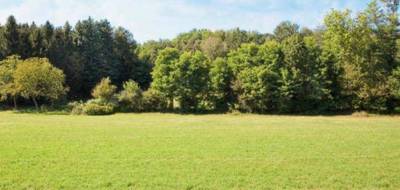 Terrain et maison à Butry-sur-Oise en Val-d'Oise (95) de 90 m² à vendre au prix de 320000€ - 3