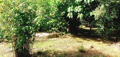 Terrain à Carnoules en Var (83) de 250 m² à vendre au prix de 89000€ - 1