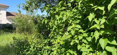 Terrain à Chasse-sur-Rhône en Isère (38) de 600 m² à vendre au prix de 209000€ - 2