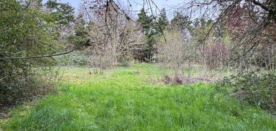 Terrain à Labastide-Beauvoir en Haute-Garonne (31) de 970 m² à vendre au prix de 135000€ - 3