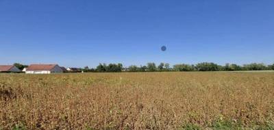 Terrain et maison à Lavoux en Vienne (86) de 79 m² à vendre au prix de 178973€ - 4