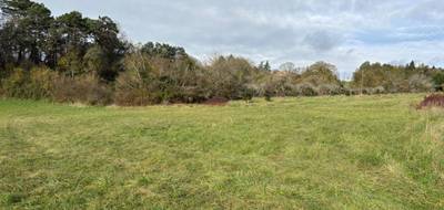Terrain à Montagnac-la-Crempse en Dordogne (24) de 2000 m² à vendre au prix de 28000€ - 3