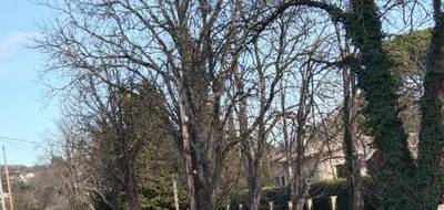 Terrain et maison à Forcalquier en Alpes-de-Haute-Provence (04) de 83 m² à vendre au prix de 234000€ - 3
