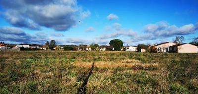 Terrain et maison à Gaillac en Tarn (81) de 94 m² à vendre au prix de 225000€ - 4