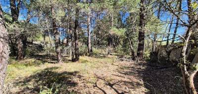 Terrain à Régusse en Var (83) de 1148 m² à vendre au prix de 93500€ - 2