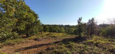 Terrain à Orgnac-l'Aven en Ardèche (07) de 2878 m² à vendre au prix de 89000€ - 1