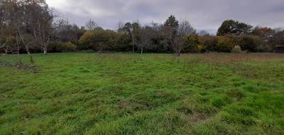 Terrain et maison à Anzême en Creuse (23) de 91 m² à vendre au prix de 200900€ - 4